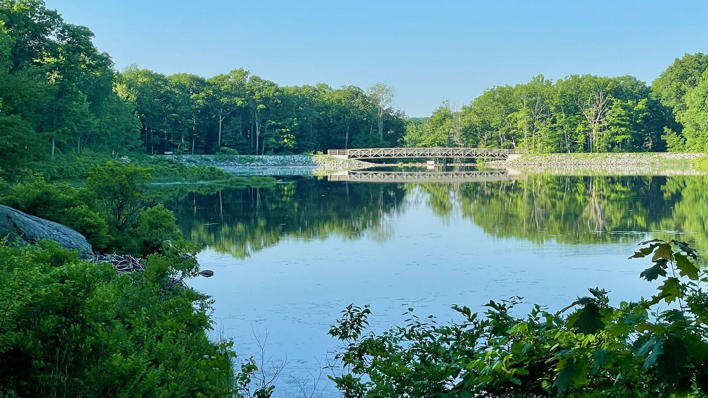 Saffin Pond in Mahlon Dickerson Reservation.